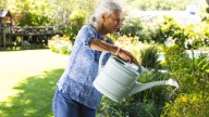 The Ornamental Shrub Pollinators Love That Can Naturally Deter Fleas From Your Yard