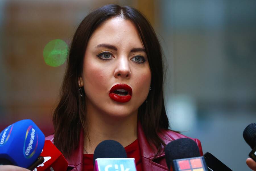 Diputada Musante denuncia gasto millonario en árbol de Navidad en Buin