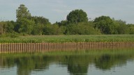 Washington Gas agrees to contain toxic pollution seeping into Anacostia River, attorney general says