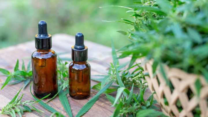 La UNR capacita a profesionales de la salud en cannabis medicinal: nueva inscripción al posgrado