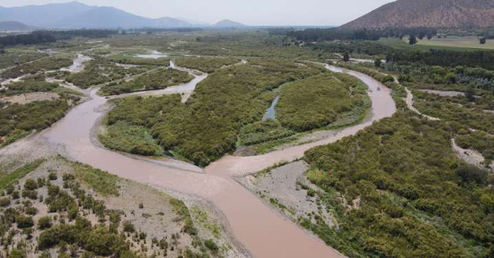 Río Maipo de Melipilla se transforma en el humedal urbano más grande de Chile: Ecosistema acuático cuenta con 2.321 hectáreas