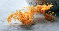Beauty and health gurus love it. Do claims about sea moss sink or swim?