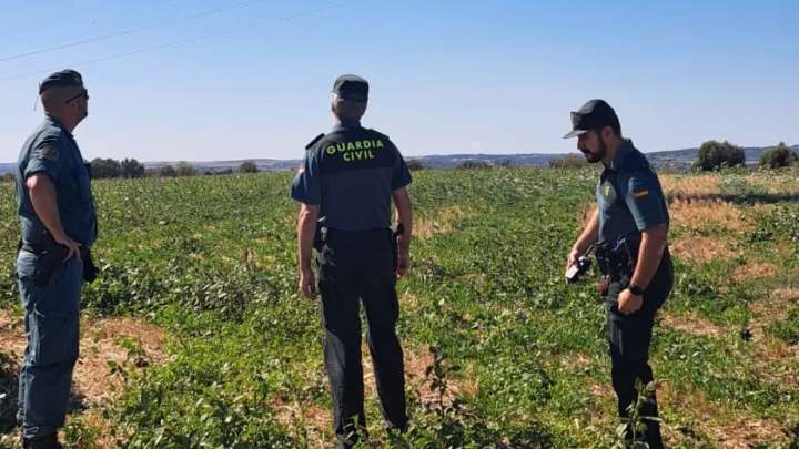 Hallan muerto a un hombre de 79 años que se cayó cuando paseaba cerca de Barbastro