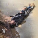 Encuentran muerto a un hombre en un charco, aún no se sabe quién es