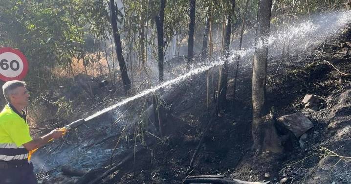 Porcuna denuncia el estado de abandono de uno de sus accesos: "Cada año arde y nadie hace nada"