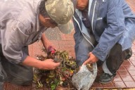 TRAS LA LLUVIA! Cuadrillas municipales limpiaron canales y sumideros (IMÁGENES)