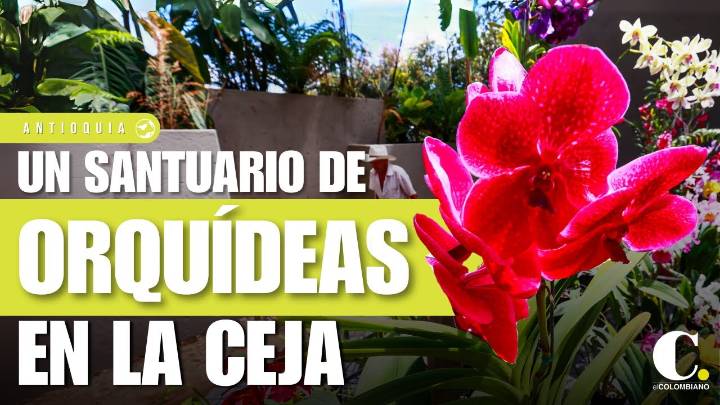 Santuario de orquídeas en La Ceja