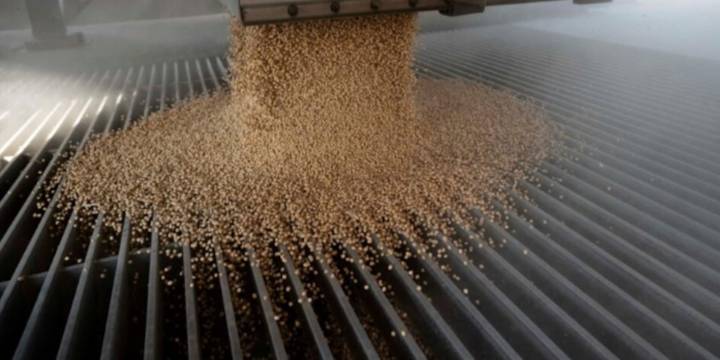 Una buena para la economía y el ingreso de dólares: el poder de compra de la soja tocó su máximo del último año