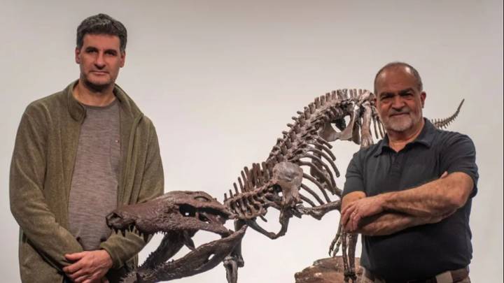 Este es el "cocodrilo feroz" que aterrorizaba la Patagonia: cómo era el Kostensuchus atrox, con dientes de cuchillo
