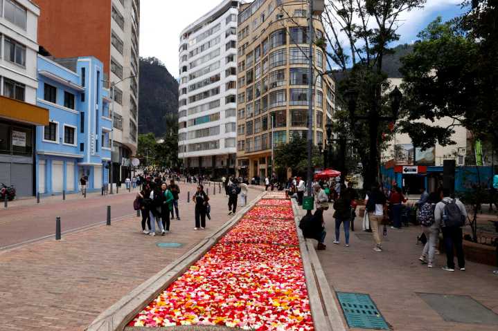 Un río de flores viste de colores el centro de Bogotá como antesala de la Bienal BOG25