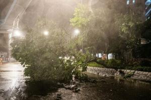 14 killed by lake burst in Taiwan as Typhoon Ragasa wreaks havoc