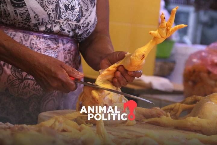 Inflación se ubicó en 3.74 % en primera quincena de septiembre; sube precio del pollo y carne de res