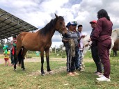 Firman pacto para que la sustitución de equinos usados en vehiculos de tracción animal en Sogamoso sea una realidad