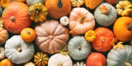 23 Types of Squash to Eat and How to Cook Them