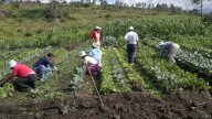 Partido Verde impulsa reforma para que agroindustria y minería paguen lo justo por el agua en México