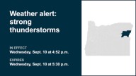 Be ready for penny-sized hail with thunderstorms in Baker County Wednesday – gusts could peak at 50 mph