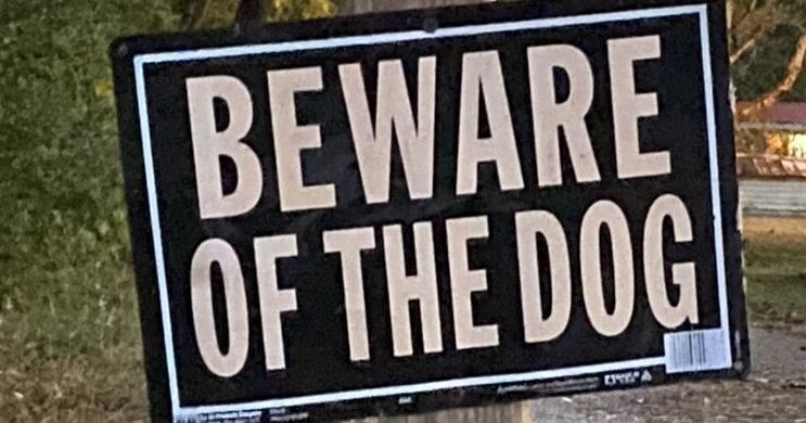 Multiple dogs attack 71-year-old Madisonville woman; 4 facing charges