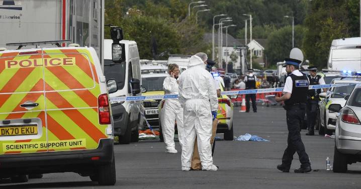 Southport stabbing inquiry: Driving licences stolen by killer to buy weapons