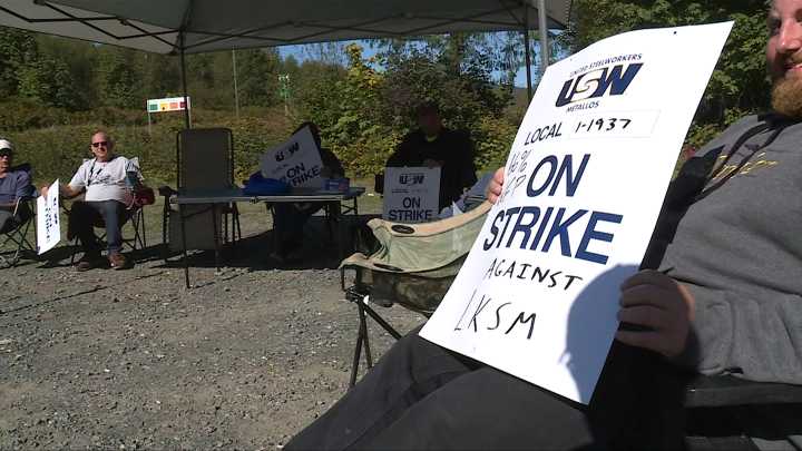‘Frustrating’: Forestry strike continues on north Island
