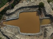 The Art of Living's Powerful Revival of a River in Crisis