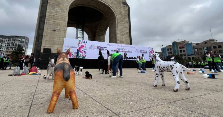 CDMX capacita a ciudadanos en primeros auxilios y RCP para salvar vidas humanas y animales