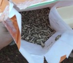El INYM clausuró un molino, intervino 33 mil kilos de yerba mate envasada e inutilizó 150 mil kilos de palitos