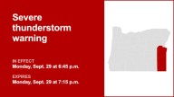 Update: Thunderstorms with nickel-sized hail and damaging winds in Malheur County Monday