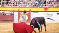 Una oreja que sabe a poco