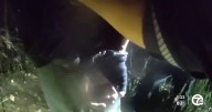 Farmington Hills police arrest teen suspect in string of 35 car break