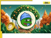 The Rise of Frog-Themed Meme Coins