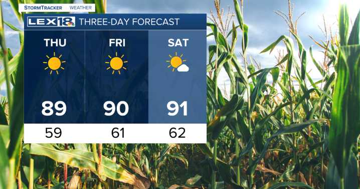 More hot and dry days ahead