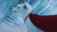 New 'Superman' Deleted Scene Has Mr. Terrific Teaming Up With Krypto [Exclusive]