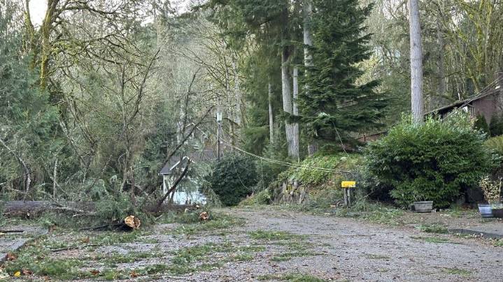 Pacific Northwest fall to bring windstorms, heavy rain