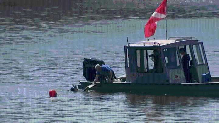 Nearly 100 cars found in Chicago River in search for missing couple