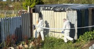 Body found at Middlesbrough's Town Farm Allotments as CSI teams called to site