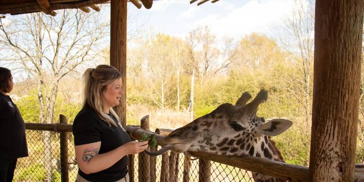Happy 150th Birthday to the Cincinnati Zoo!