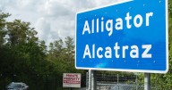 Appeals court panel stops order to wind down operations at 'Alligator Alcatraz'
