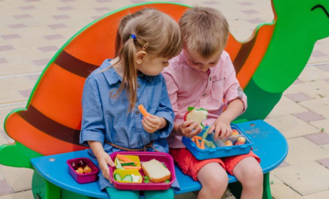 Lunch saludable el nuevo reto del regreso a clases