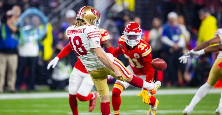 Buffalo Bills sign punter Mitch Wishnowsky
