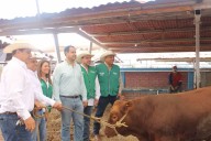Isaías Montemayor Ortiz lidera entrega de sementales bovinos en Sabinas
