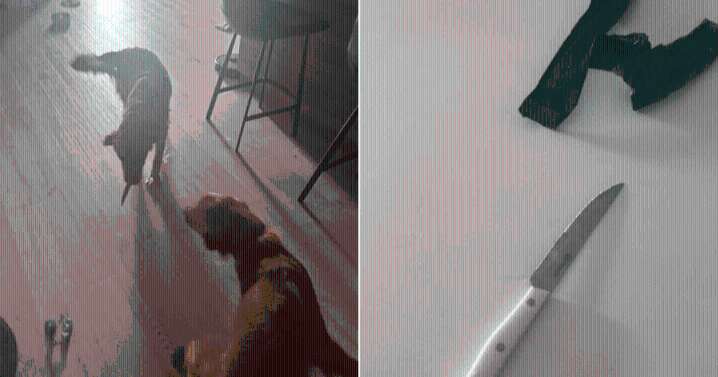 Dog Walker Shocked As Golden Retriever Greets With Knife In Mouth