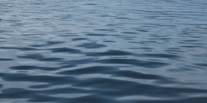 Missouri Highway investigates swimmers struck by personal watercraft on Pomme de Terre Lake following altercation over a dog