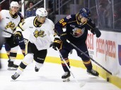 Winless Sarnia Sting working on discipline | Kingston/Frontenac This Week