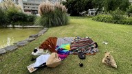 Un hombre duerme en la rotonda de Francesc Macià