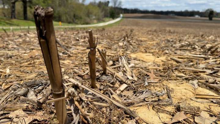 Tariffs create financial uncertainty for Kentucky farmers