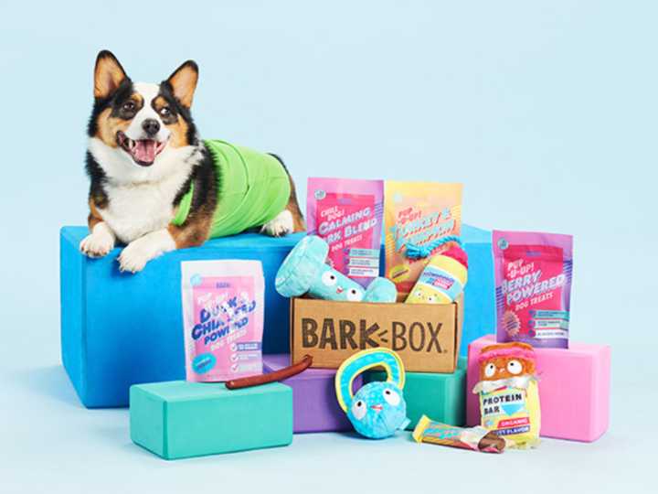 Best dog subscription boxes in Canada in 2025