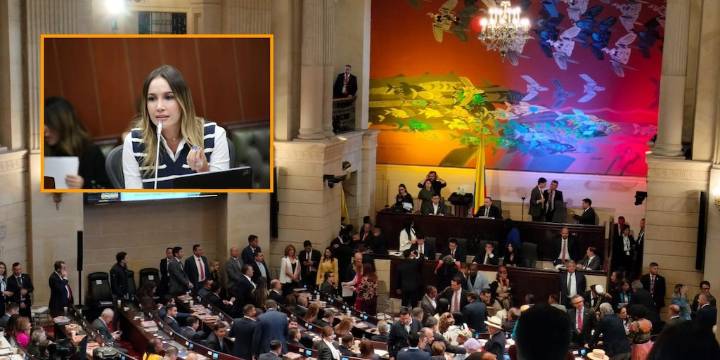 CNE suspendió decisión de Cambio Radical de restringir la participación de Ana María Castañeda en las discusiones del Congreso