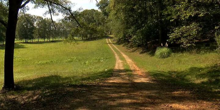 Attorney for victim speaks after lawsuit filed in horrific Bibb County dog attack
