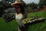 Move over, green lawns. Drier, warmer climate boosts interest in low