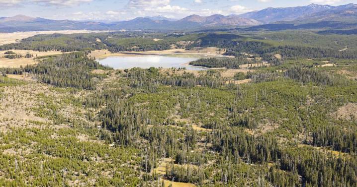 Bear attack on hiker closes trail in Yellowstone